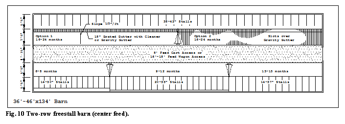 �������: Fig. 10 Two-row freestall barn (center feed).