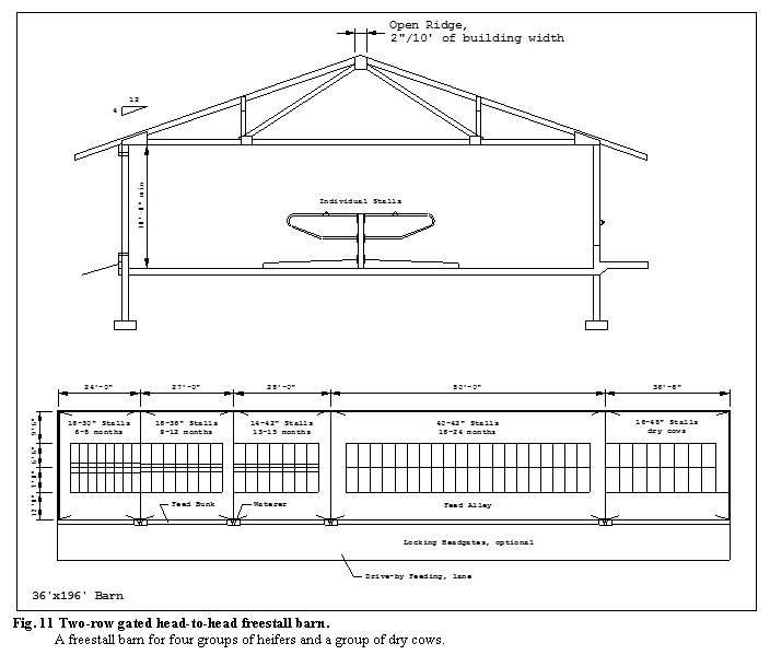 �������: Fig. 11 Two-row gated head-to-head freestall barn.

A freestall barn for four groups of heifers and a group of dry cows.

