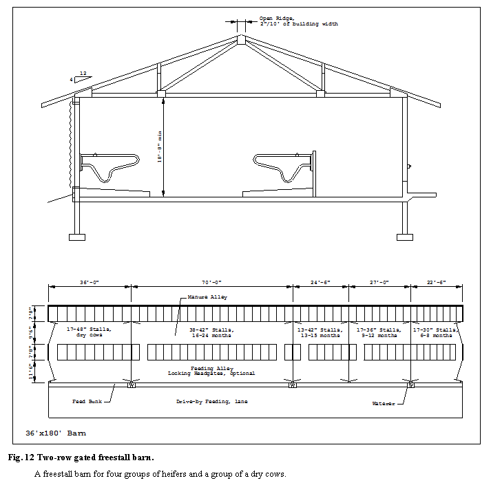 �������: 

Fig. 12 Two-row gated freestall barn.

A freestall barn for four groups of heifers and a group of a dry cows.

