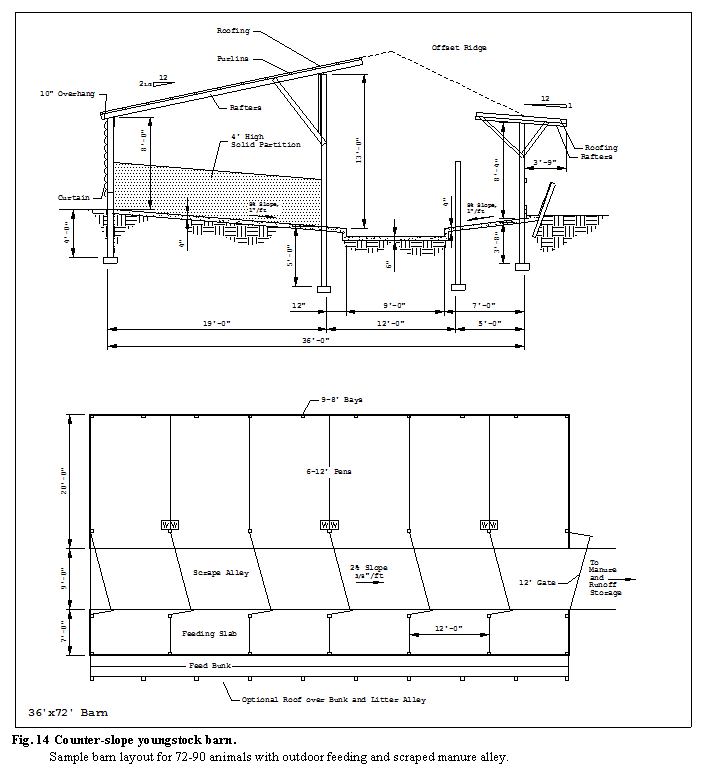�������: Fig. 14 Counter-slope youngstock barn.

Sample barn layout for 72-90 animals with outdoor feeding and scraped manure alley.


