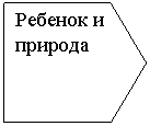 ������������: ������� � �������