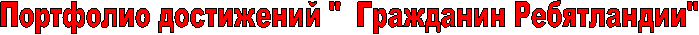 Портфолио