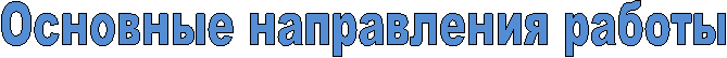 Основные направления работы