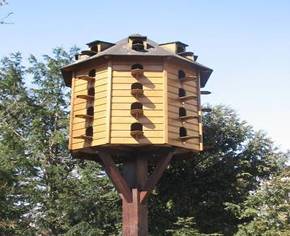 C:\Users\���\Desktop\Berlin_Fennsee_Vogelhaus.jpg