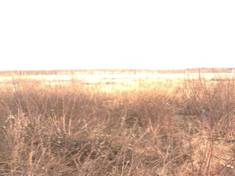 IMG0010A