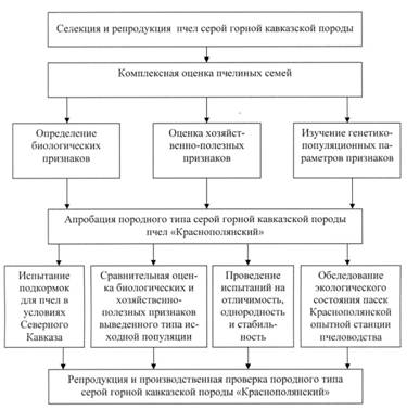 Рис.1.jpg