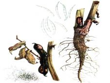 93