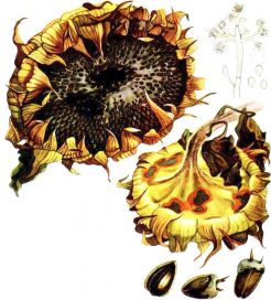 173
