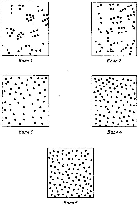 http://*****/img/image005.jpg