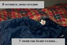 C:\Documents and Settings\�������������\��� ���������\��� �������\�����\_all4cat_022_animals.jpg