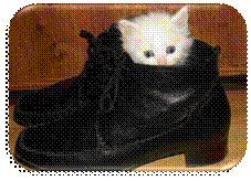 C:\Documents and Settings\����� �2\��� ���������\��� �������\online-ua-42384.jpg