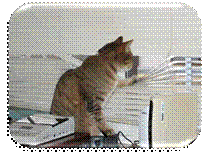 C:\Documents and Settings\����� �2\��� ���������\��� �������\online-ua-42401.jpg