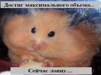 C:\Documents and Settings\�������������\��� ���������\��� �������\�����\_all4cat_026_animals.jpg
