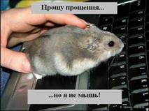 C:\Documents and Settings\�������������\��� ���������\��� �������\�����\_all4cat_045_animals.jpg