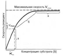 img284.jpg