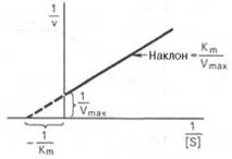img308.jpg