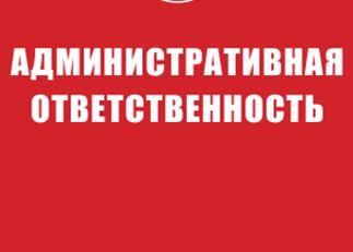 �������_������������_�����_�����_004