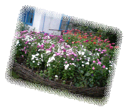 E:\мой проект1\фото титульный лист\DSCN0114.JPG