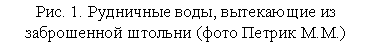 �������: