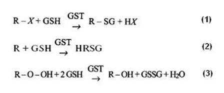 реакции, катализируемые GSTs