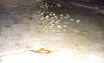 \\Gzi-001\���������\�������\����\DSCN1652.JPG