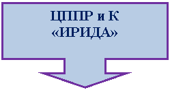 Выноска