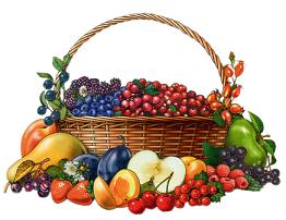 fruits.JPG