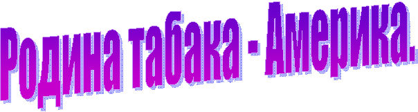 Родина табака - Америка.