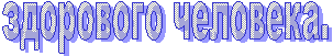здорового человека.