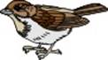 BIRD24