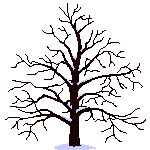 tree21