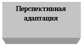 �������: �������������

���������

