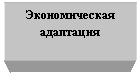 �������: �������������

���������

