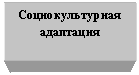 �������: ���������������

���������

