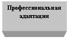 �������: ����������������

���������

