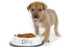 dog-food