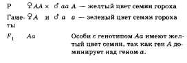 ответы на экзамен