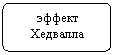 ����-�����: