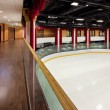 ��������: Holiday Club Arena