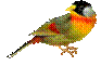 H:\ltnb\0_7d782_ed2c7b5d_XL.png