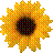 H:\ltnb\fa2b35d7fd11.png