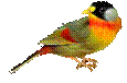 H:\ltnb\0_7d782_ed2c7b5d_XL.png
