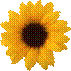 H:\ltnb\fa2b35d7fd11.png