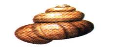 viviparus_contectus