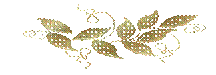 9c9c043c811f.png