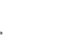 �������: 