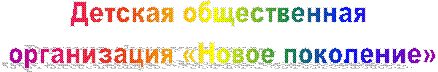 Детская общественная
организация «Новое поколение»