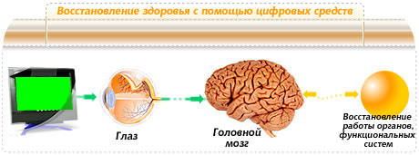 Цифровая клиника Мимекс