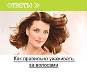 ��������: