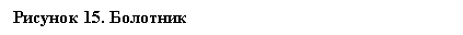 �������:
